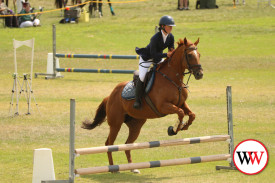 horse-jumping-8.jpg