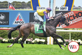 Aseventy Seven (NZ) ridden by Will Gordon wins the Apco Service Stations Banjo Paterson BM62 Hcp. (Photo by Reg Ryan/Racing Photos)
