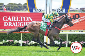 Flying Done ridden by Dean Yendall wins the Carlton Draught Harry Bell 3YO Maiden Plte. (Photo by Reg Ryan/Racing Photos)