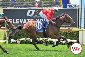 Dirnaseer ridden by Billy Egan wins the QX3 Sports Michael Shanahan Maiden Plte. (Photo by Reg Ryan/Racing Photos)