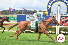 Sabre Athena ridden by Portia Matthews wins the OTI Racing Jericho Cup Consolation. (Photo by Reg Ryan/Racing Photos)