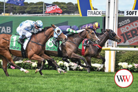 Colour Our World ridden by Dean Yendall wins the TAB Midnight Madness Fillies & Mares BM70 Hcp. (Photo by Reg Ryan/Racing Photos)