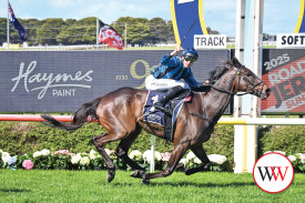 Farag (NZ) ridden by Will Gordon wins the Haymes Paint Jericho Cup. (Photo by Reg Ryan/Racing Photos)