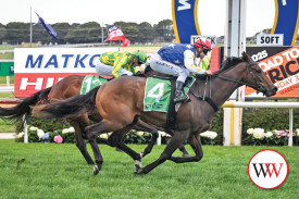 Ten Commandments ridden by Harry Grace wins the Matko Hire Good