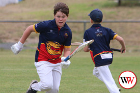 junior-cricket-merrivale-v-north-warrnambool-5.jpg