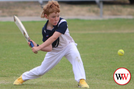 junior-cricket-port-fairy-v-dennington-5.jpg