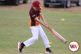 junior-cricket-strikers-v-nestles-4.jpg