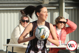 junior-netball—-camperdown-v-north-warrnambool-2.jpg