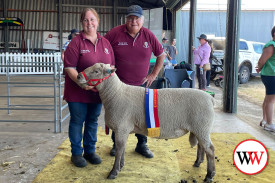 Suzanne Holmes & father Barry Shalders with their South Suffolk All Breeds Ram awarded the “Sheep of the Show”