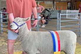 Peter McDonald with his Southdown Ewe, named the All Breeds “Ewe of the Show”