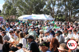 koroit-irish-festival-3-1746069522.jpg