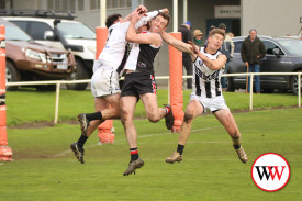 koroit-seniors-10.jpg