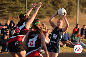 koroit-v-warrnmabool-netball-9.jpg