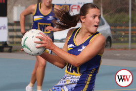 netball—-camperdown-v-north-warrnambool-10.jpg