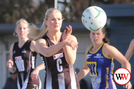 netball—-camperdown-v-north-warrnambool-12.jpg