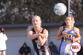 netball—-camperdown-v-north-warrnambool-13.jpg