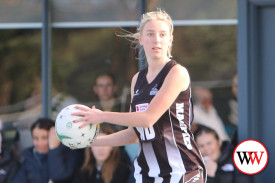 netball—-camperdown-v-north-warrnambool-14.jpg