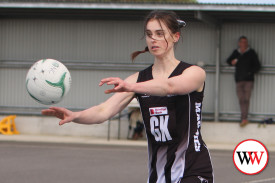 netball—-camperdown-v-north-warrnambool-20.jpg