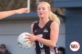 netball—-camperdown-v-north-warrnambool-22.jpg