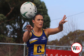 netball—-camperdown-v-north-warrnambool-8.jpg