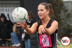 netball—-camperdown-v-warrnambool-5.jpg