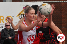 netball—-cobden-v-south-warrambool-1.jpg