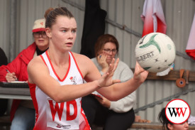 netball—-cobden-v-south-warrambool-7.jpg