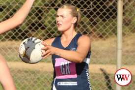 netball—-cobden-v-warrnambool-4.jpg