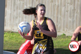 netball—-merrivale-v-dennington-2.jpg