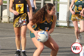 netball—-merrivale-v-old-collegains-13.jpg