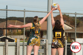 netball—-merrivale-v-old-collegains-9.jpg