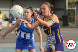 netball—-north-warrnambool-v-hamilton-1.jpg