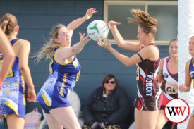 netball—-north-warrnambool-v-koroit-2.jpg