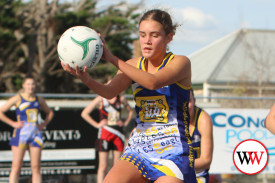 netball—-north-warrnambool-v-koroit-24.jpg