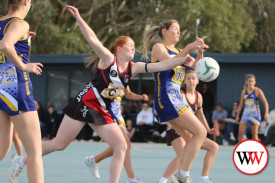 netball—-north-warrnambool-v-koroit-9.jpg