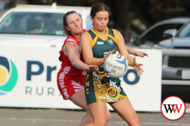 netball—-old-collegains-v-dennington-6.jpg