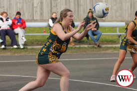 netball—-old-collegains-v-dennington-7.jpg