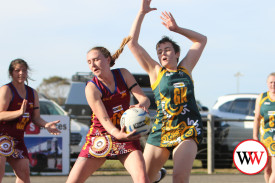 netball—-old-collegians-v-south-rovers-8.jpg