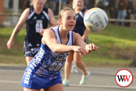 netball—-russells-creek-v-nirranda-7.jpg