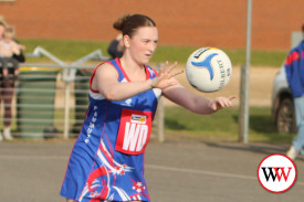 netball—-south-rovers-v-panmure-4.jpg