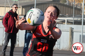 netball—-south-warrnambool-v-cobden-9.jpg