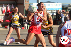 netball—-south-warrnambool-v-portland-12.jpg