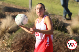 netball—-south-warrnambool-v-portland-2.jpg