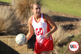 netball—-south-warrnambool-v-portland-5.jpg