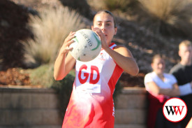 netball—-south-warrnambool-v-portland-6.jpg