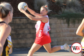 netball—-south-warrnambool-v-portland-7.jpg