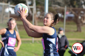 netball—-south-warrnambool-v-warrnambool-14.jpg