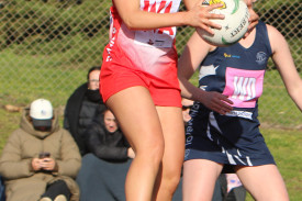netball—-south-warrnambool-v-warrnambool-4.jpg