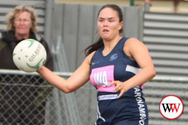 netball—-warrambool-v-hamilton-14.jpg