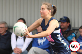 netball—-warrambool-v-hamilton-17.jpg
